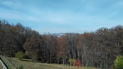Ресторант Алекс