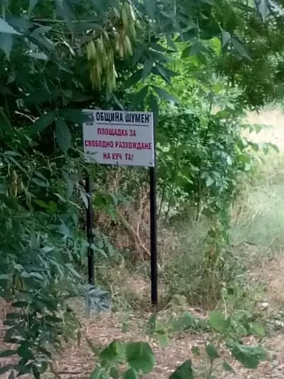 ЦЪРКВА СВЕТО ВЪЗНЕСЕНИЕ