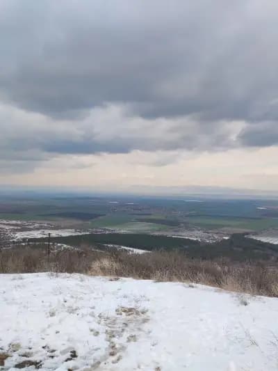 Pomnik Wyzwolenia