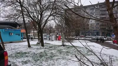 Вилтон Маркет 2