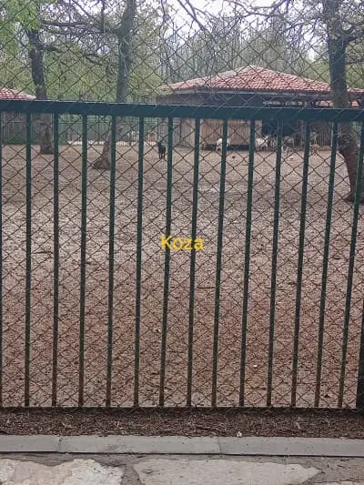 Зоокът Парк Кенана