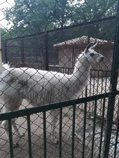 Зоокът Парк Кенана
