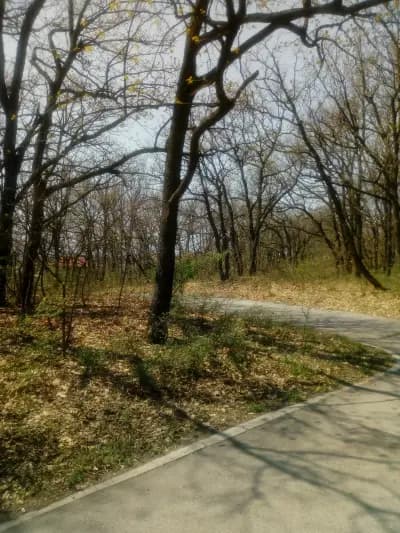 Лесопарк Кенана ,Хасково