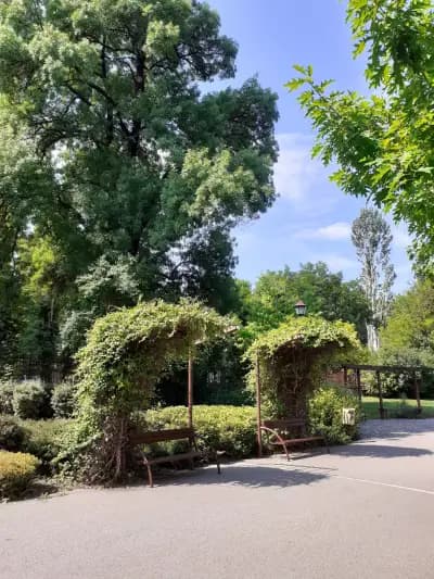 City Park