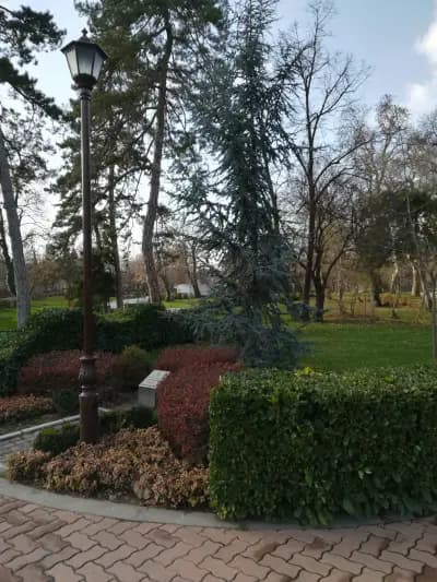Парк „Градска градина“