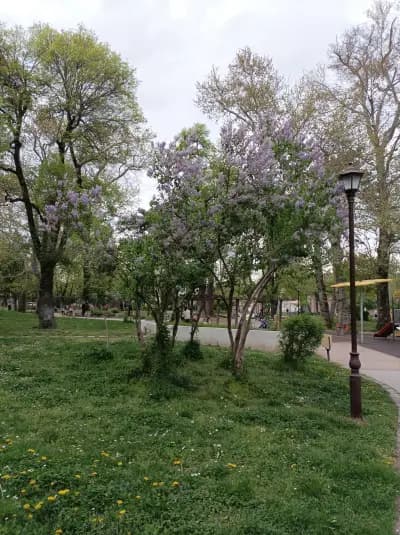 Парк „Градска градина“