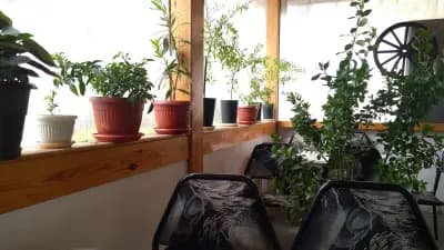 Кафе Апостолов