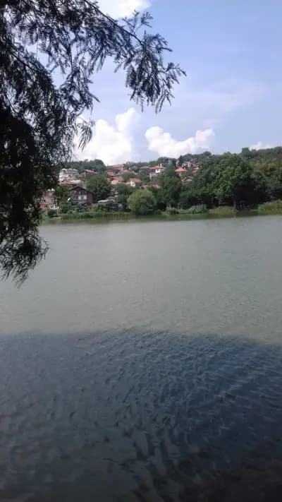 КИПАРИС