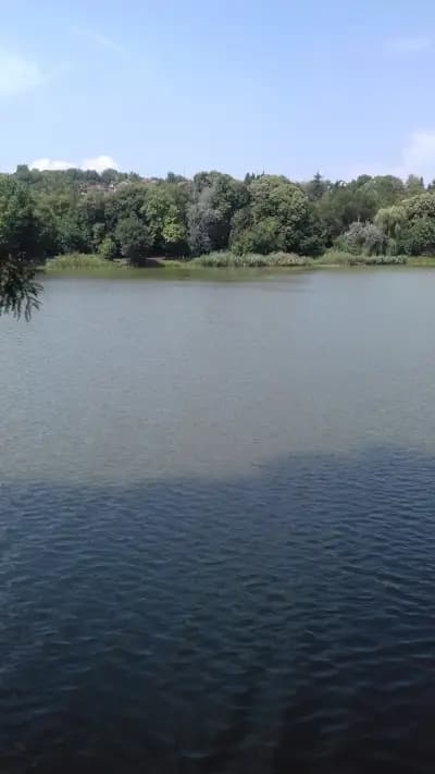 КИПАРИС