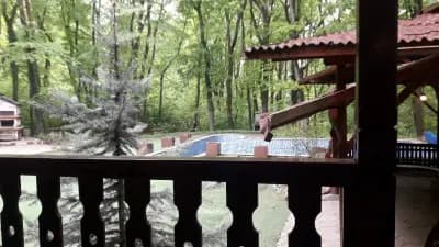 КИПАРИС