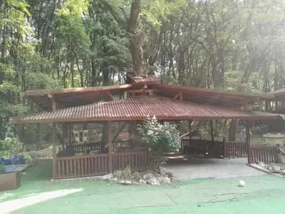 КИПАРИС
