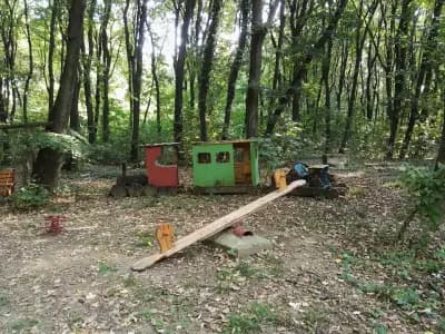 КИПАРИС