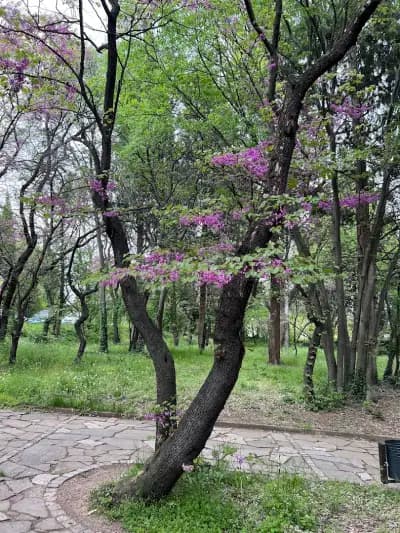 Старозагорска Митрополия