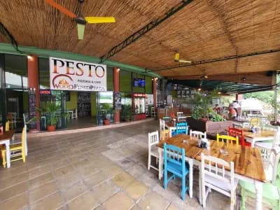 Pesto - wood fired pizza