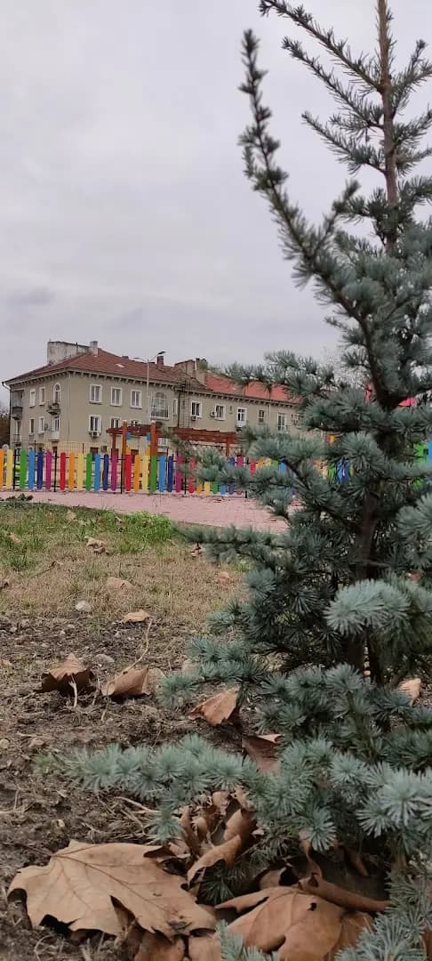 Park and Playground