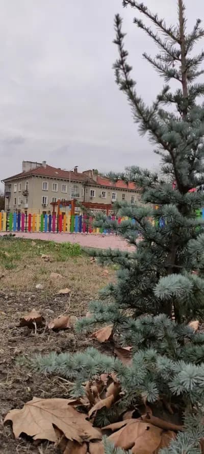 Park and Playground