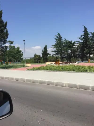 Park and Playground