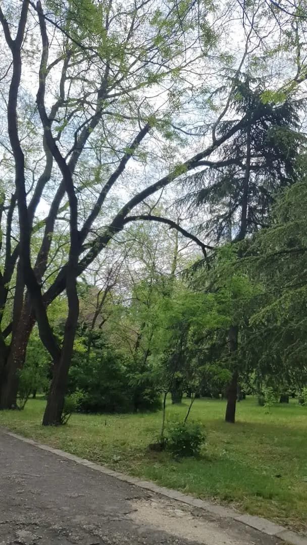 Park and Playground