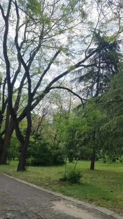Park and Playground