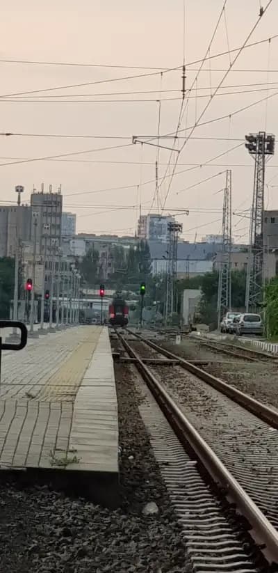 Владимир Павлов