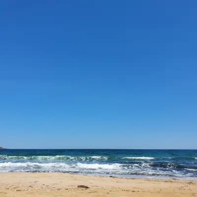 Нос Агалина