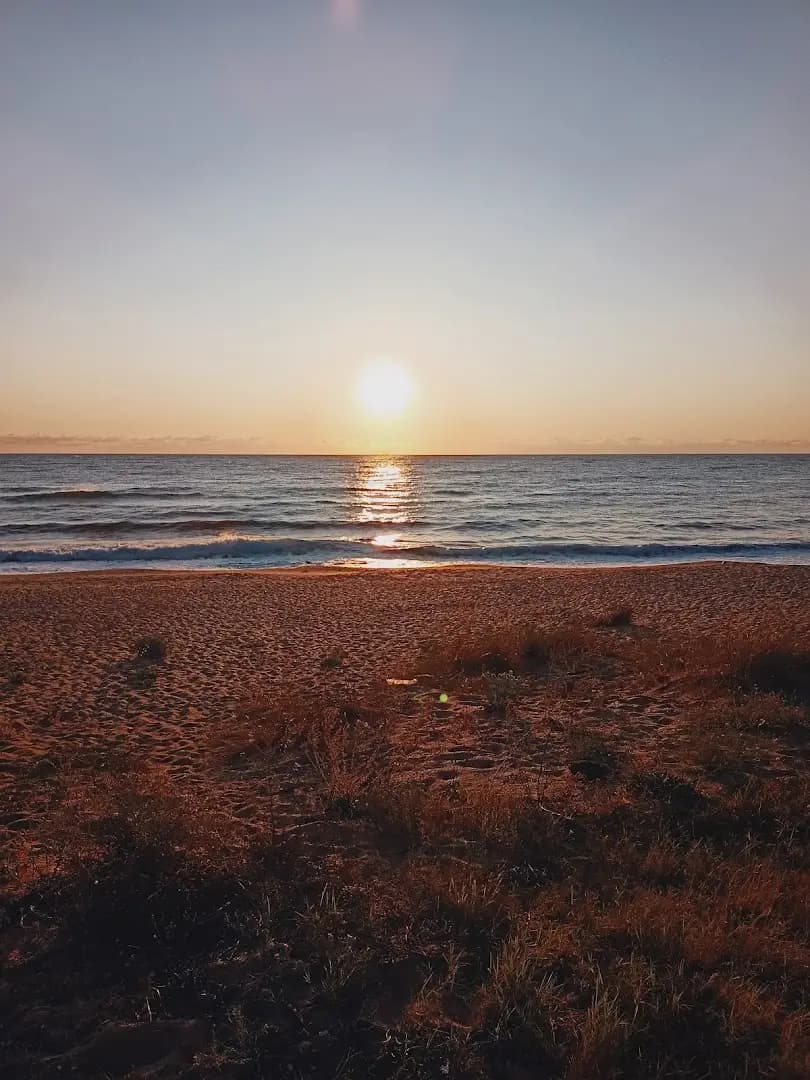 Нос Агалина