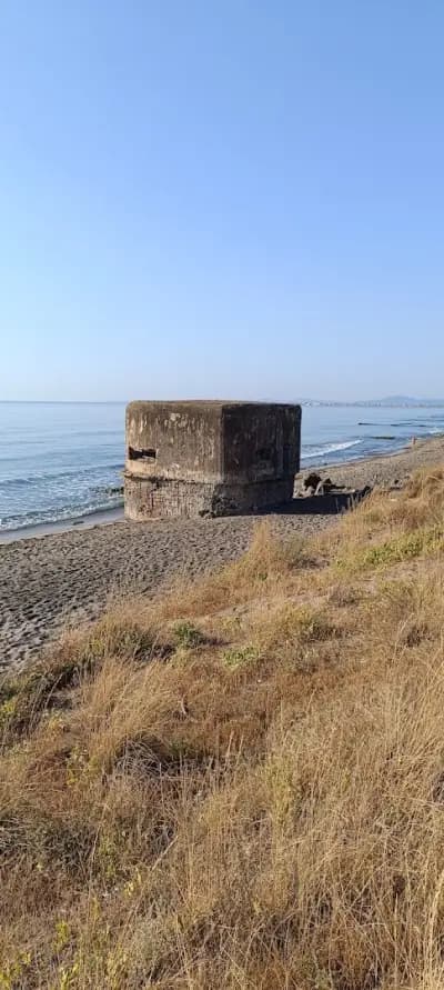 Солници Поморие голям геран