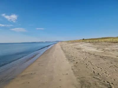Солници Поморие голям геран