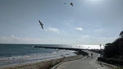 Plaża Pomorie