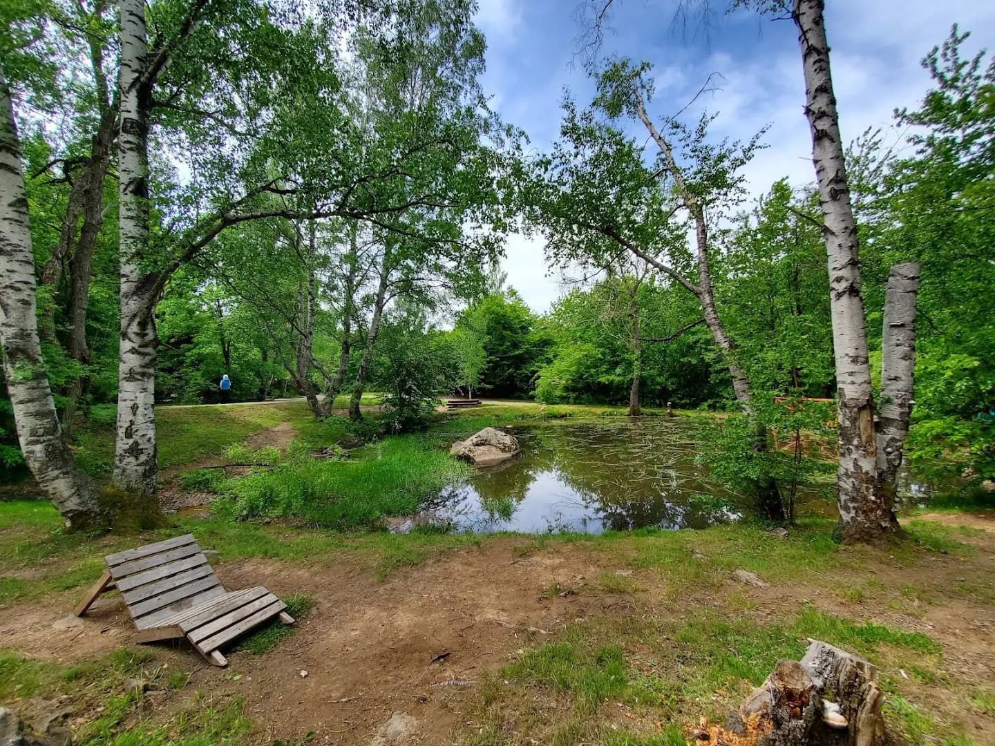 Дендрариум