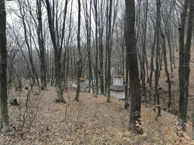 Параклис „Вси Светии“