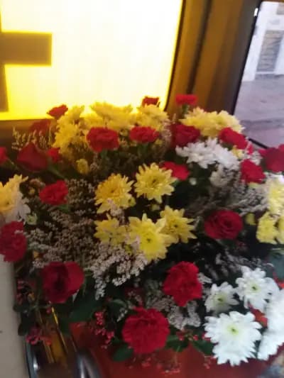 Погребална агенция Покой
