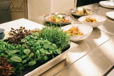 Amaya Restaurant
