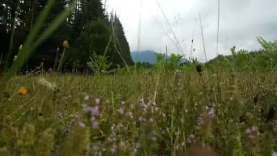 Вила "Маришница"