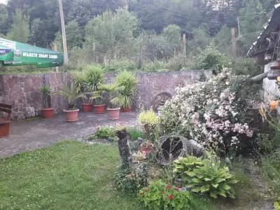 Ресторант “Черни Вит”