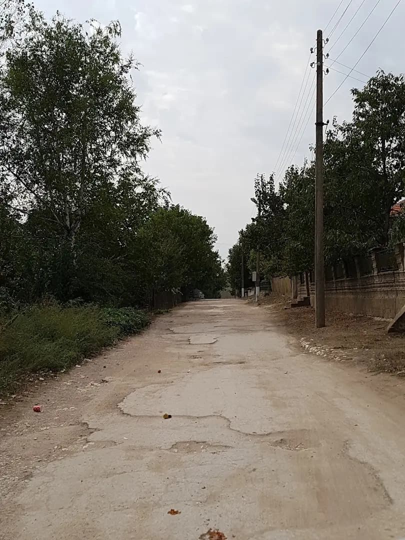 Бар Барни