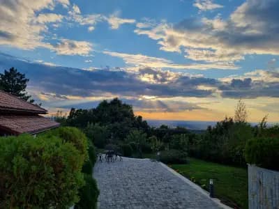 Zaara Estate Winery