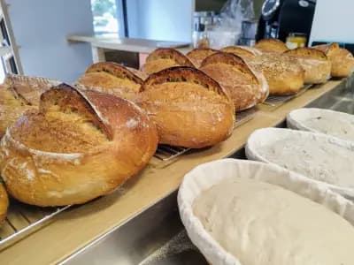 Пекарна за ръчен хляб с квас. Bakery "Моят Хляб"