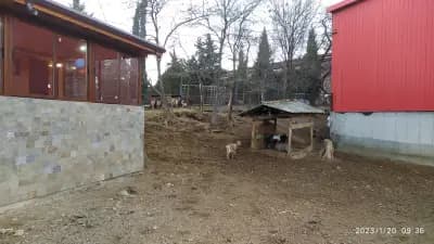 Месо и месни деликатеси Минчо Кортен