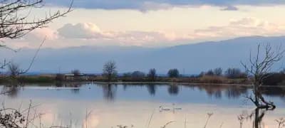 Кметство Шишманци