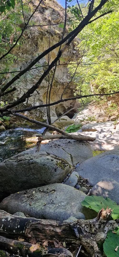 Водопад Скоковете