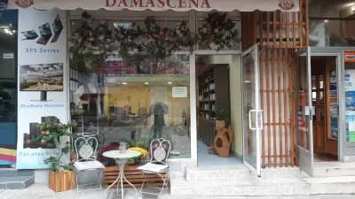 ДАМАСКЕНА ООД