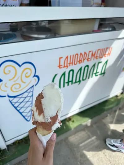 Едновремешен сладолед