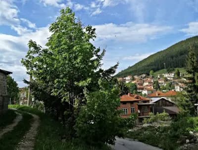 Кафе-аперитив Мариела