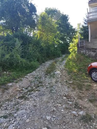 Къща за гости,, Приятели “
