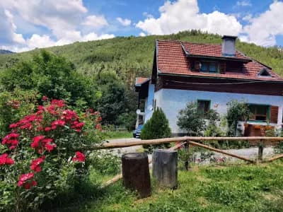 Ресторант - Барбекю “При Яна и Янек”