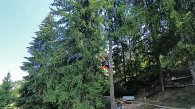 Big Swing Stoykite