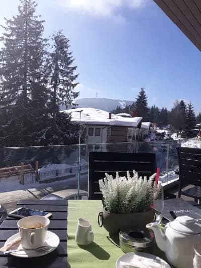Neptun winter home | Pamporovo
