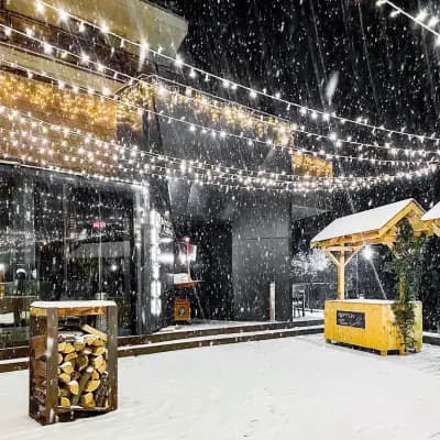 Neptun winter home | Pamporovo