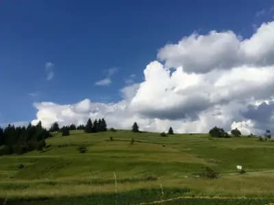 Stoykite-Pamporovo Nature Retreat